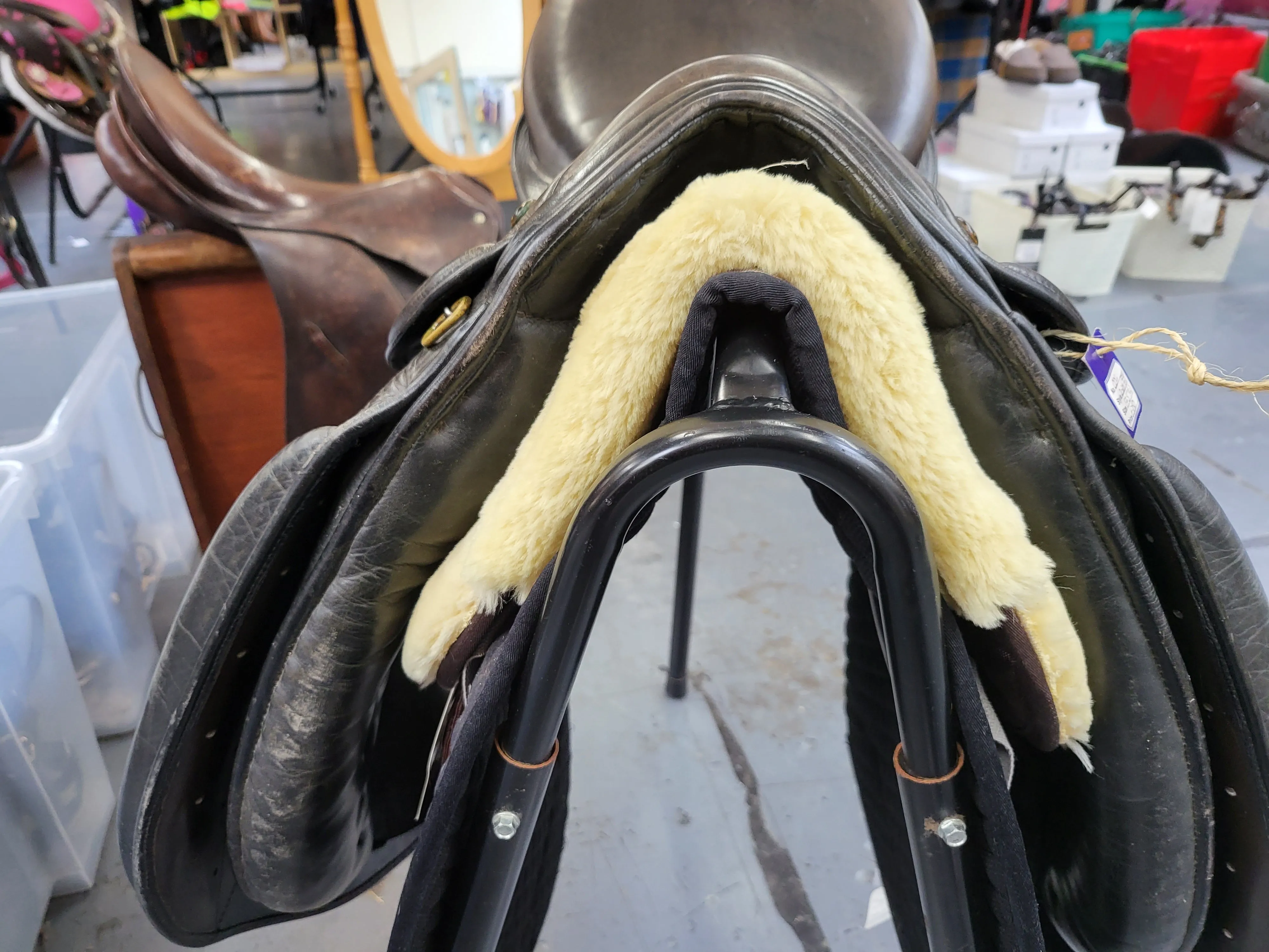 17.5" Zaldi Grand prix dressage