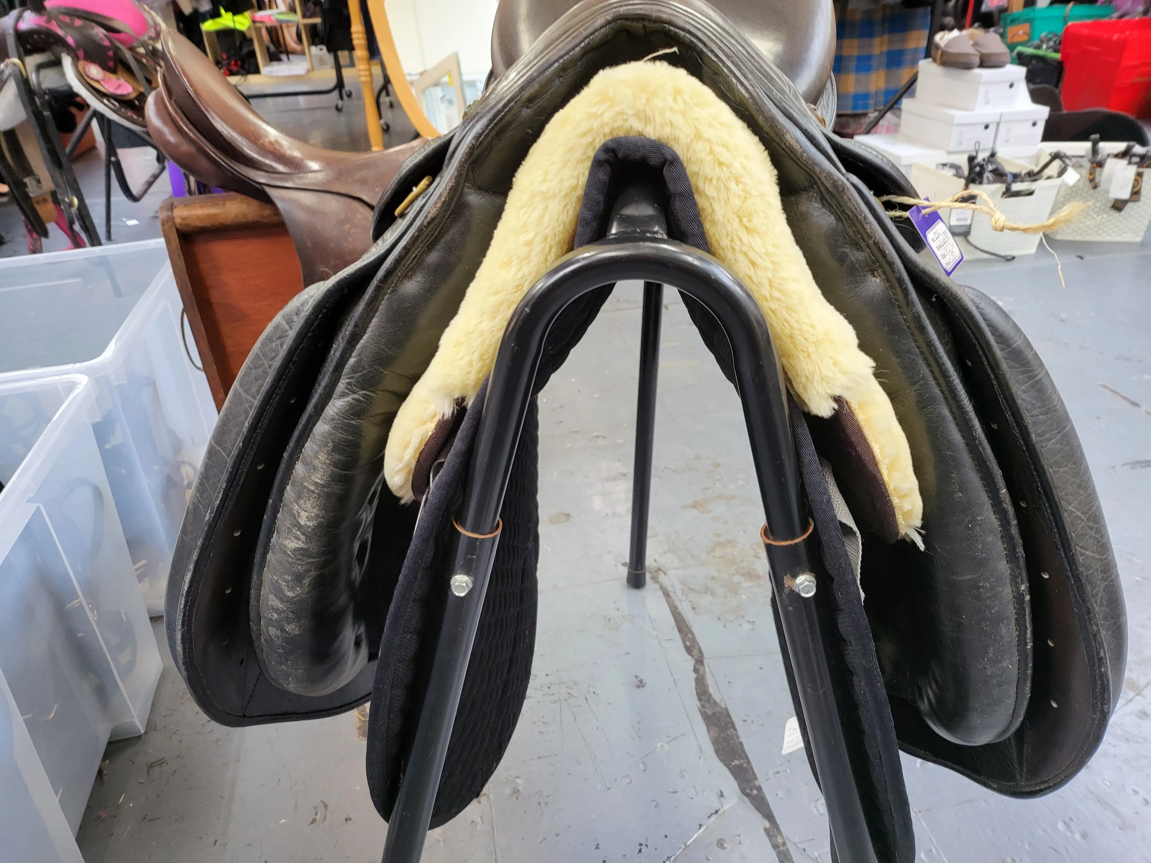 17.5" Zaldi Grand prix dressage