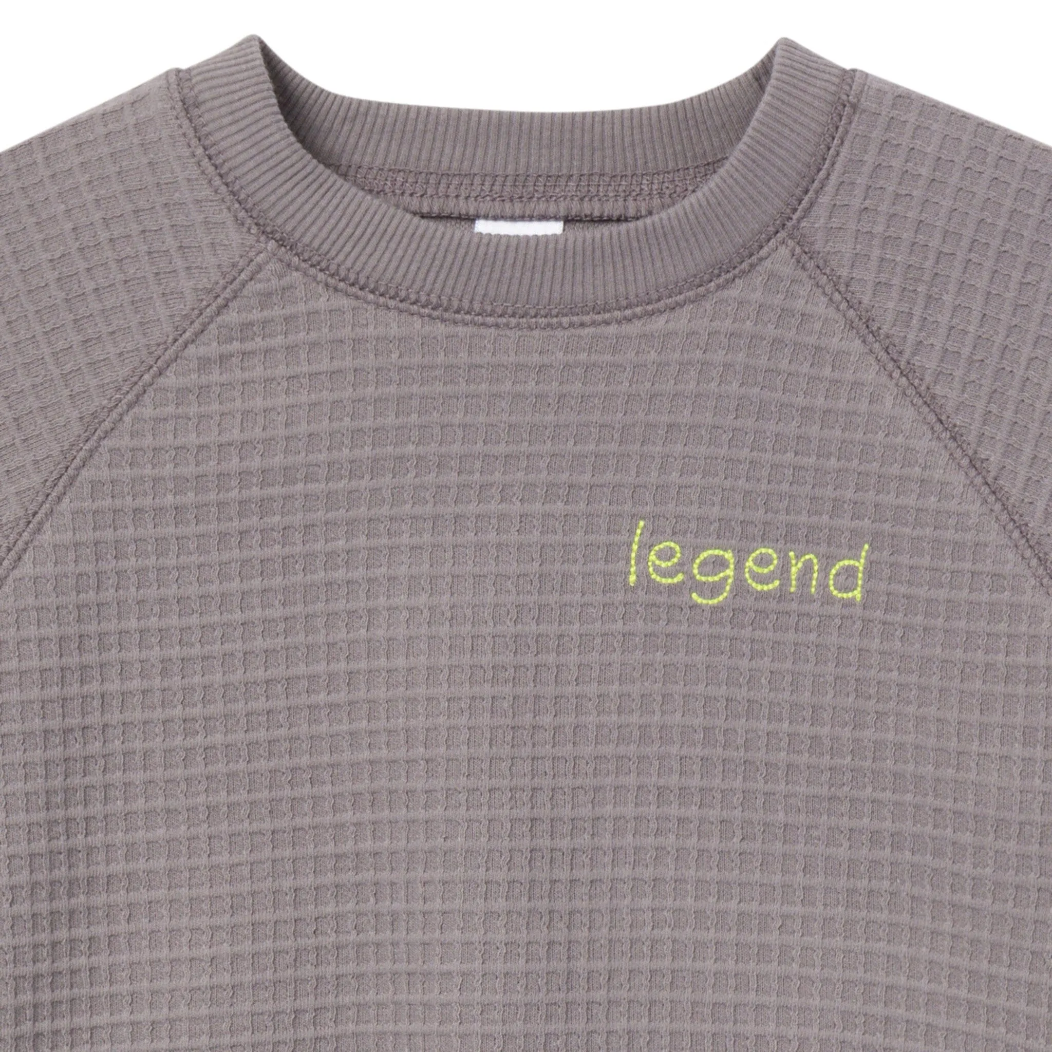 2-Piece Infant & Toddler Boys Grey Long Sleeve Top and Shorts Set