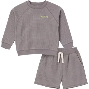2-Piece Infant & Toddler Boys Grey Long Sleeve Top and Shorts Set