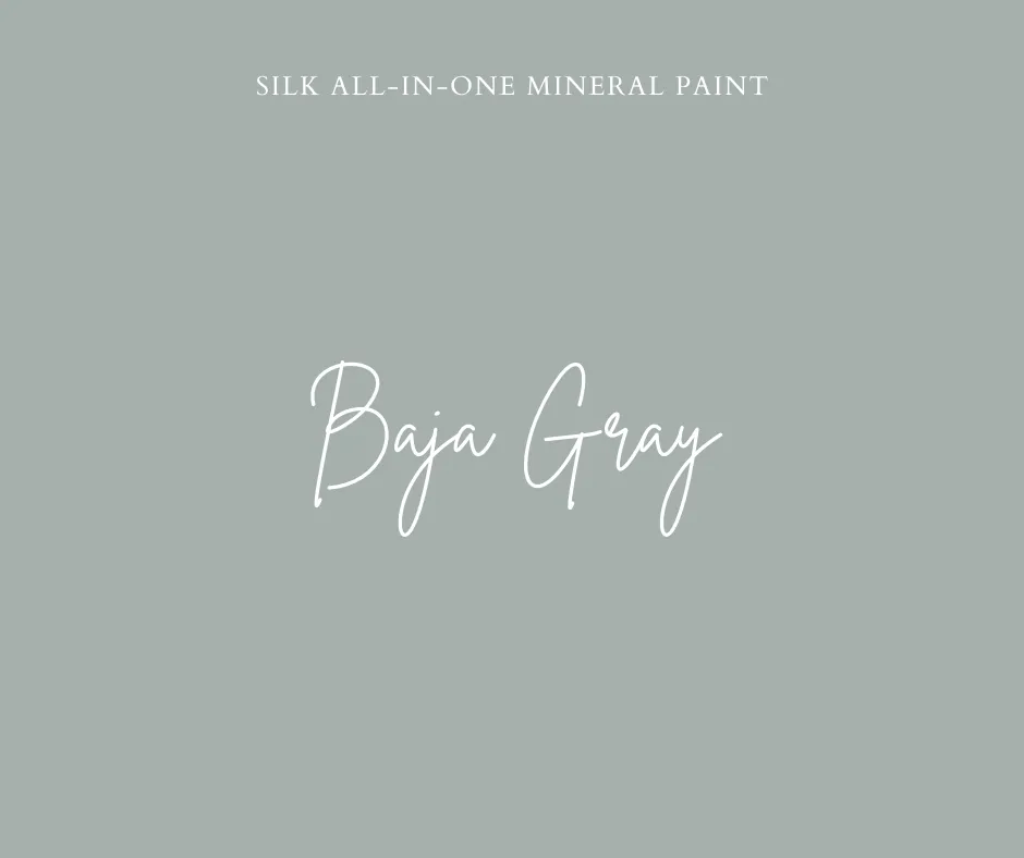 Baja Gray Silk All-In-One Mineral Paint