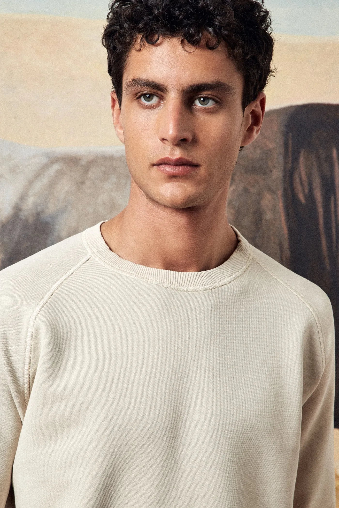 Freesport Cotton Crewneck Sweatshirt
