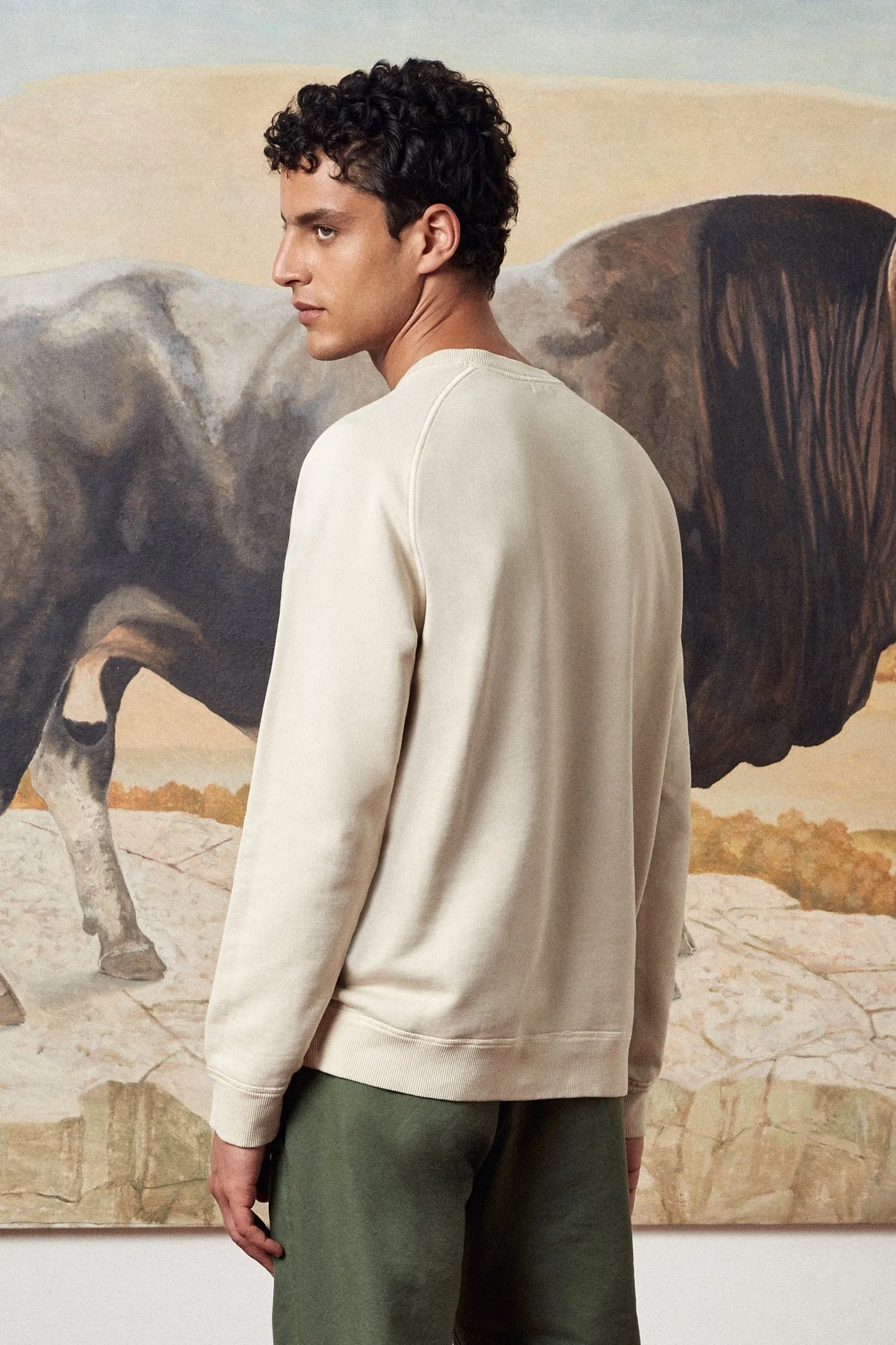 Freesport Cotton Crewneck Sweatshirt