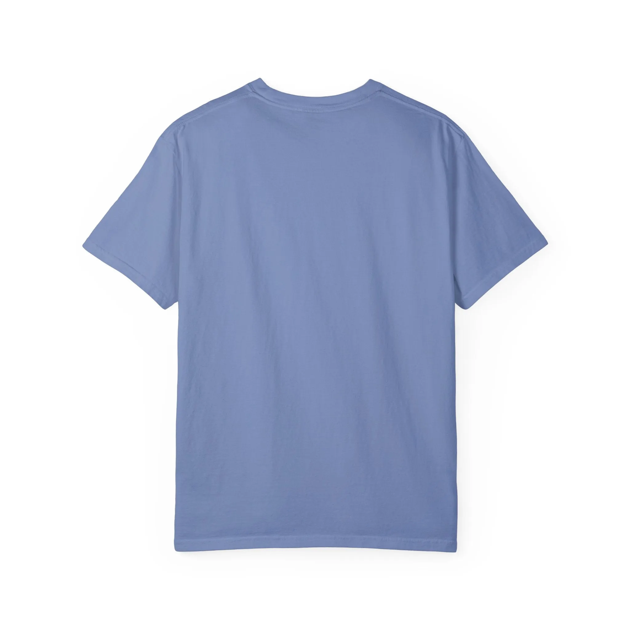 Goose | Comfort Colors® Tee in Washed Denim