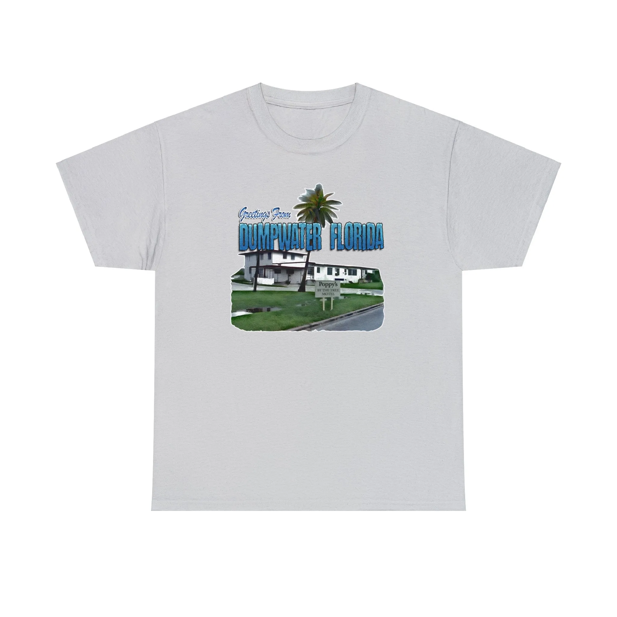 Greetings From Dumpwater Florida - Unisex Heavy Cotton Tee