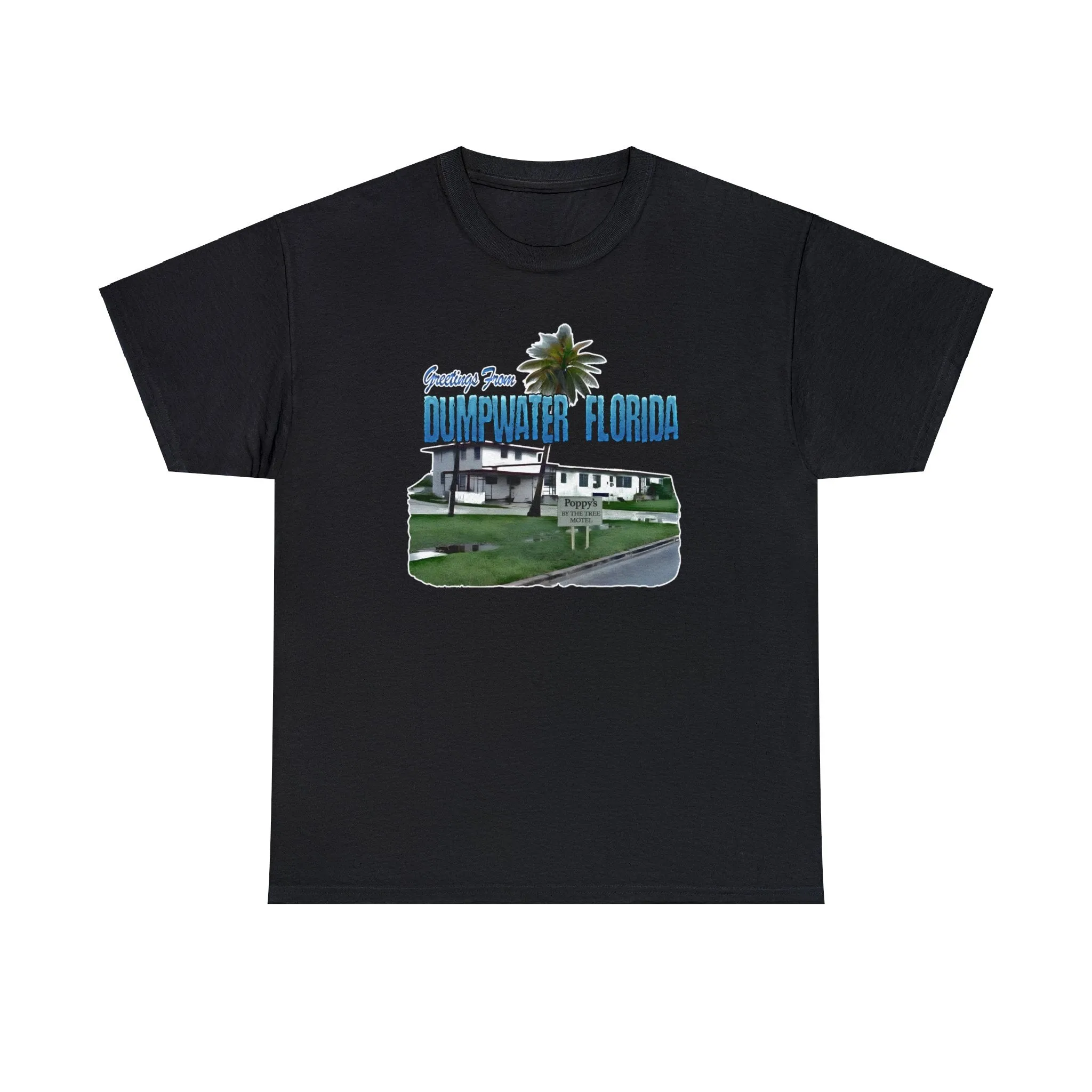 Greetings From Dumpwater Florida - Unisex Heavy Cotton Tee