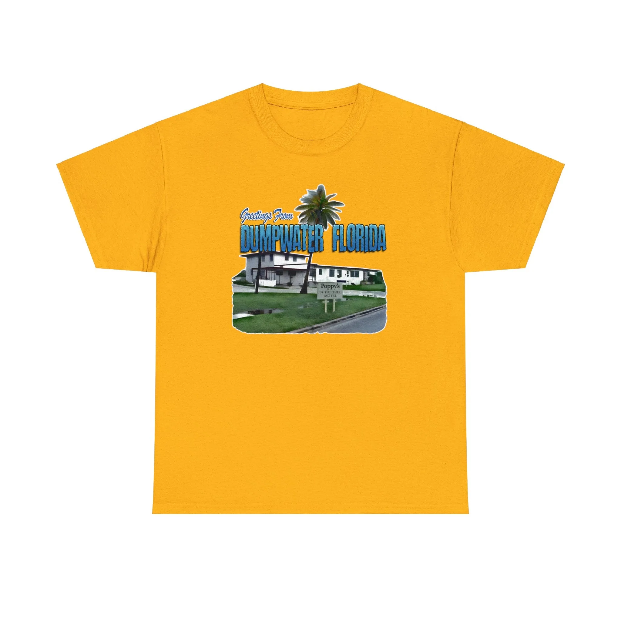 Greetings From Dumpwater Florida - Unisex Heavy Cotton Tee