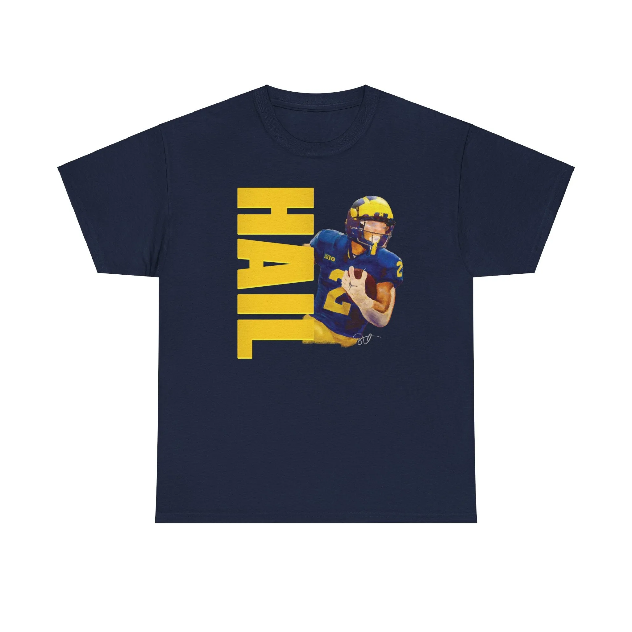 HAIL Football Fans! Unisex Heavy Cotton Tee Larger Painting