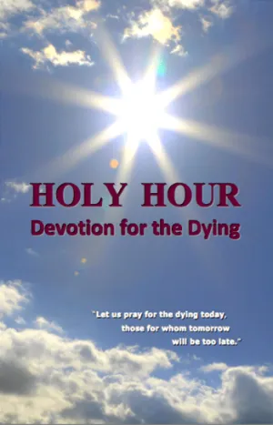 Vinyl Cover For 609 Bibles